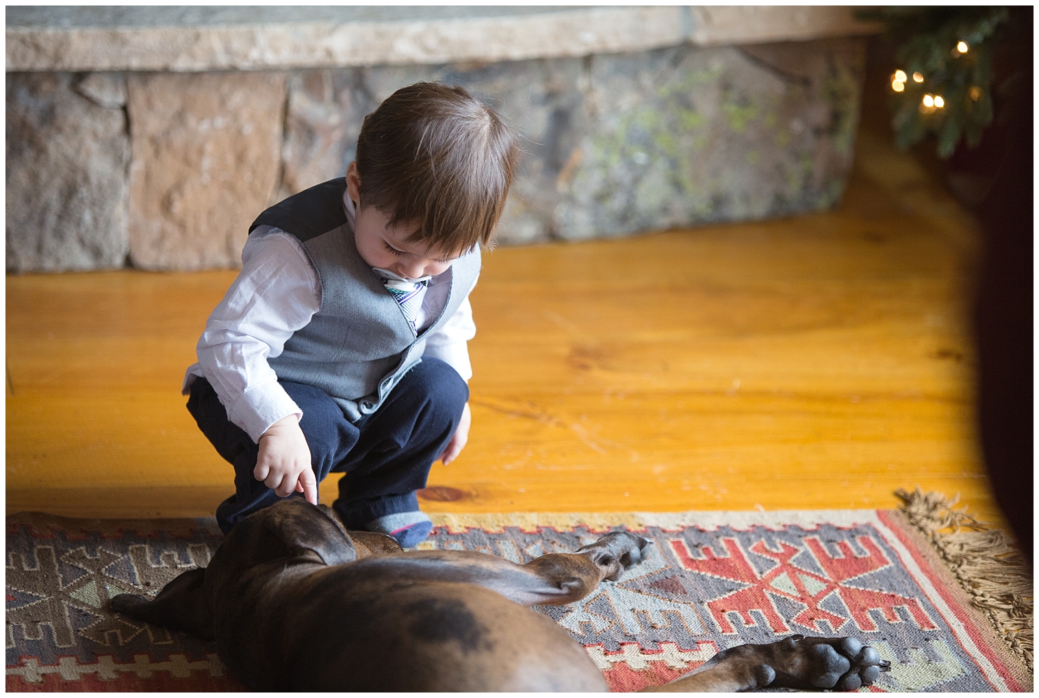 Boy plays with a dog during a Breckenridge elopement ceremony.