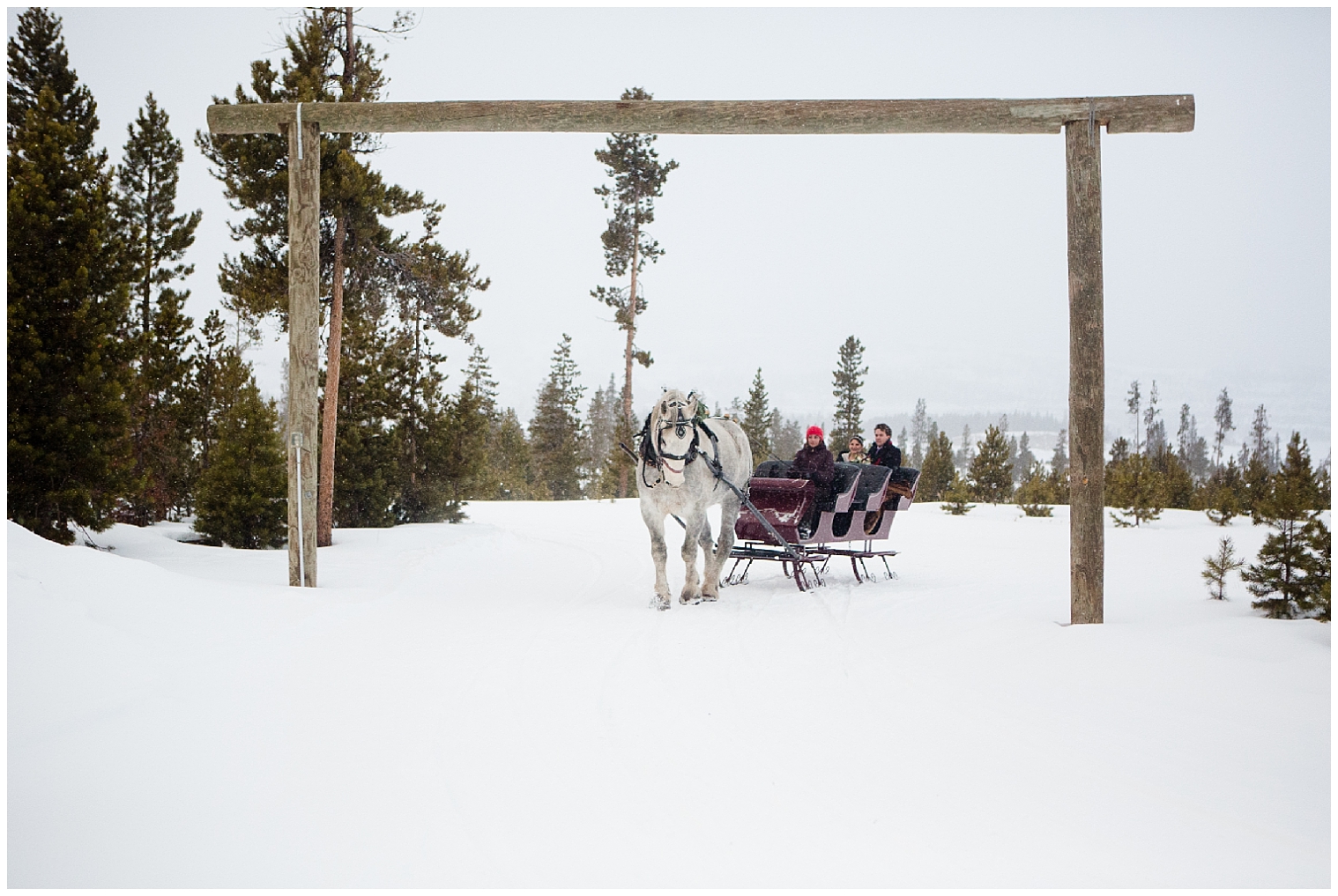 Breckenridge Colorado mountain elopement couple are pulled in a horse drawn carriage through the snow.