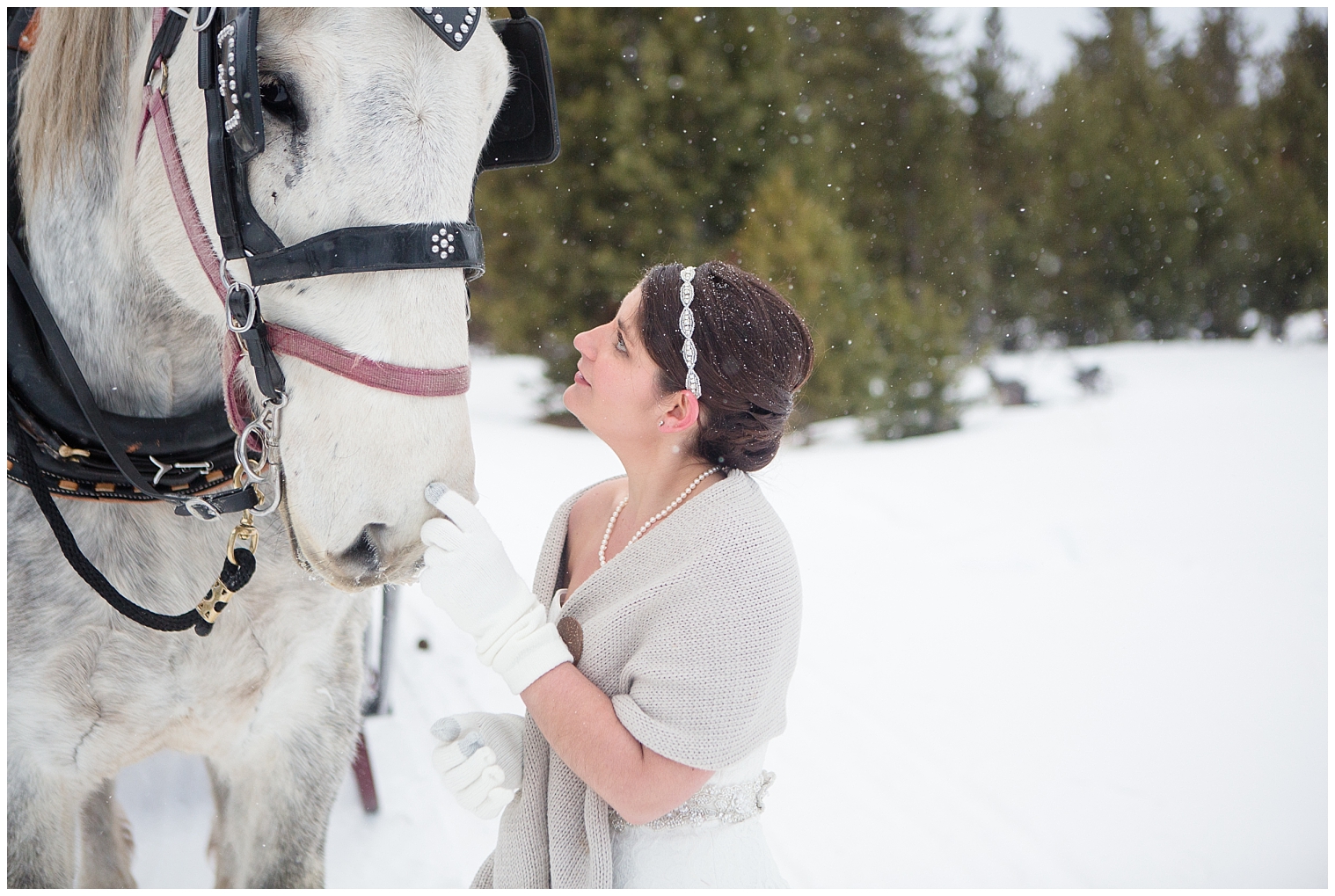 Bride pets the draft horse pulling her carriage at a Breckenridge elopement.