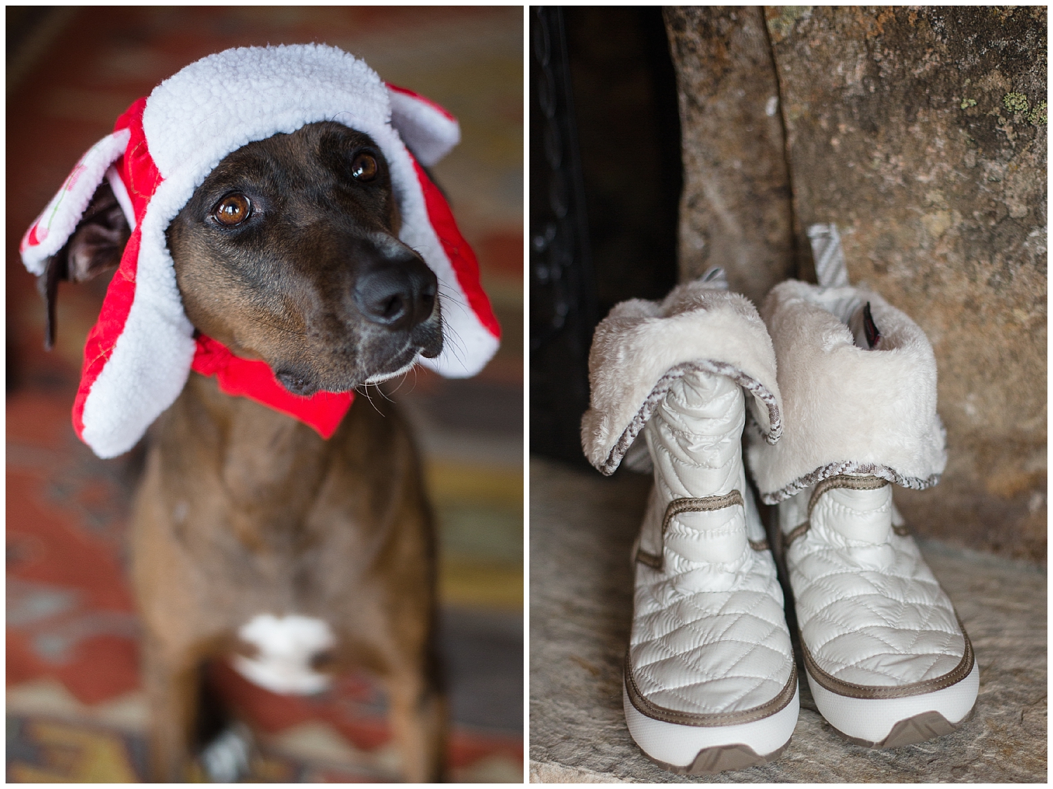Dog and the brides shoes at small winter Breckenridge elopement.