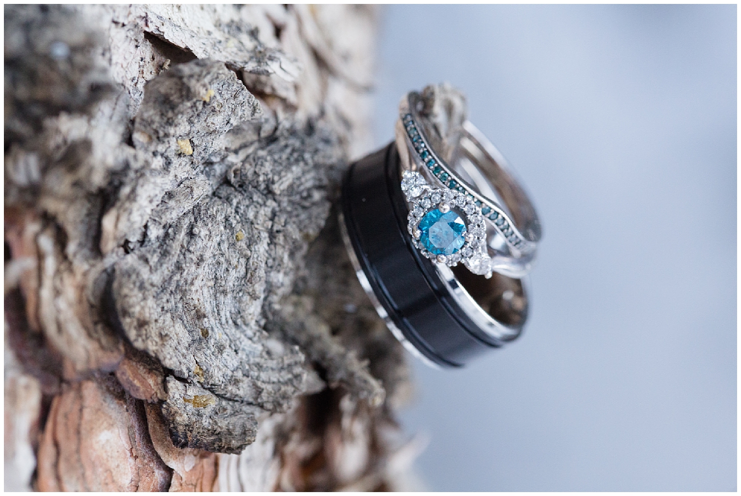 The bride's blue rings and the groom's ring hang on a tree at a Boreas Pass elopement.